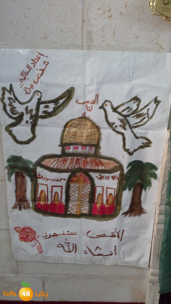 7era2 lud talkrem (10).jpg